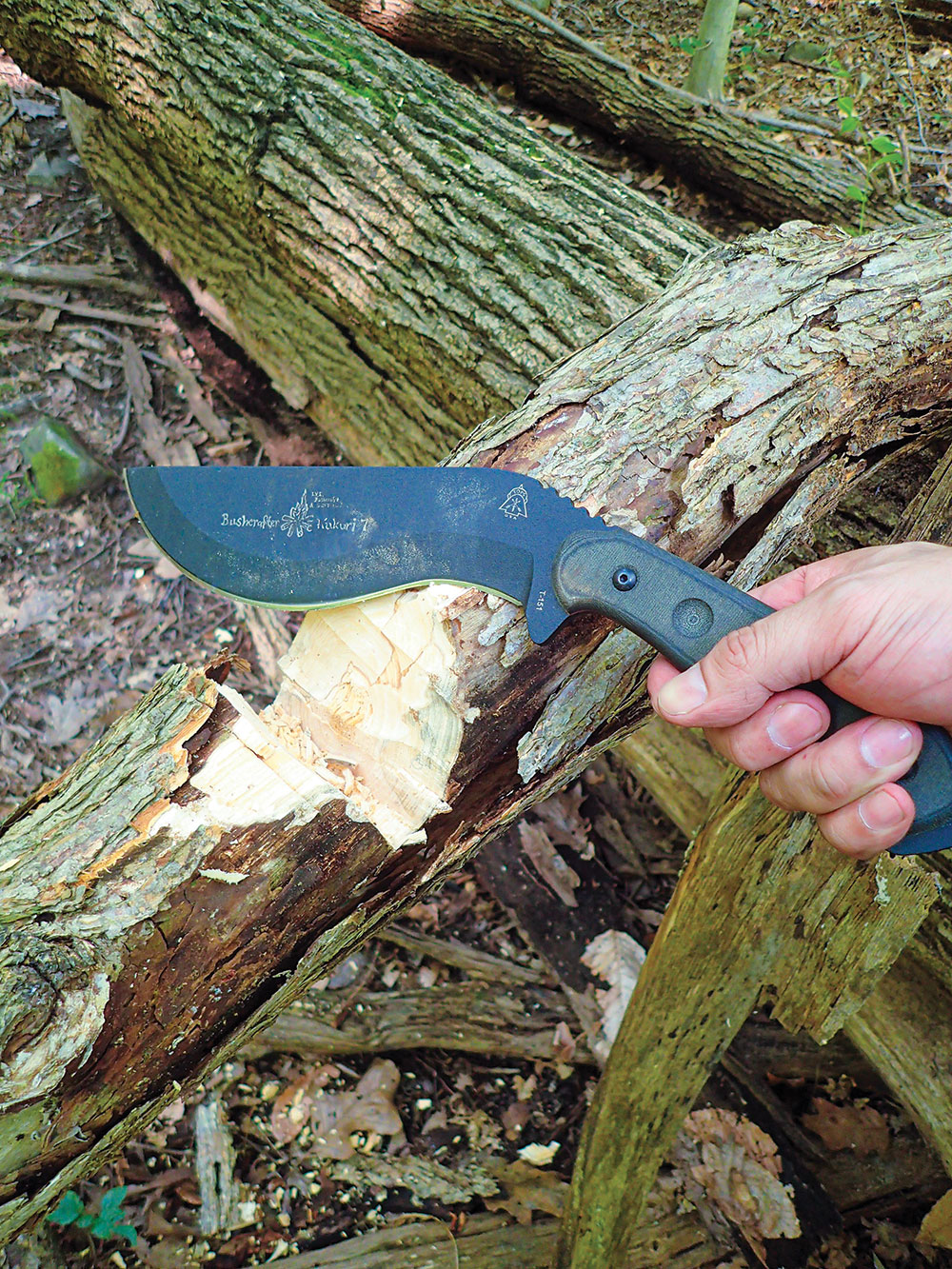This southern hardwood was no match for the sheer power of the Bushcrafter Kukuri.