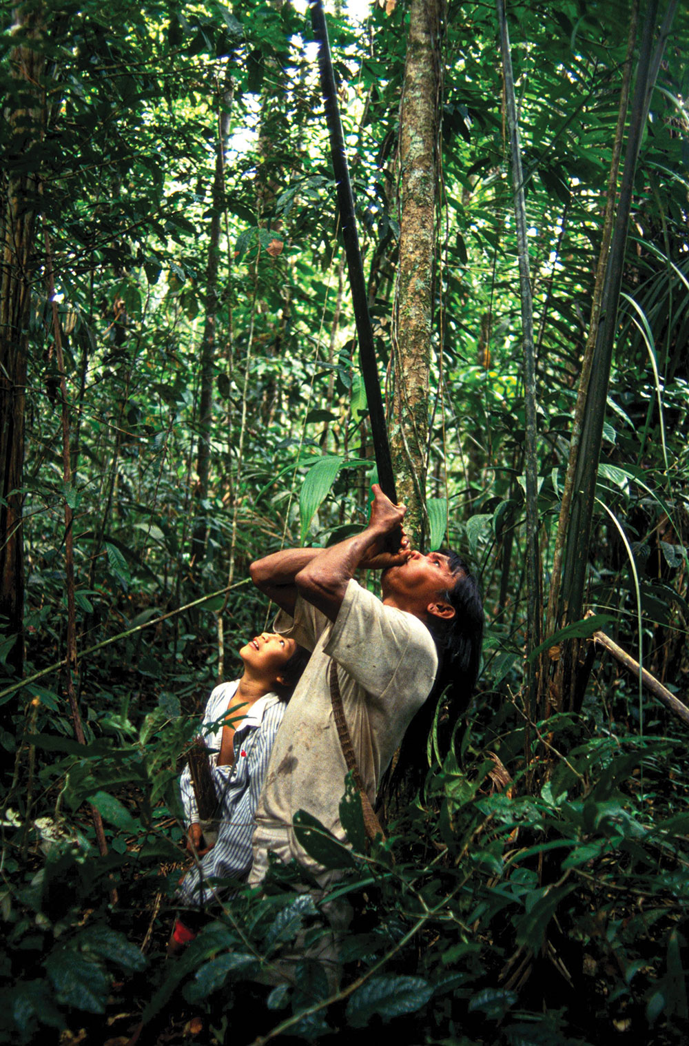 Bamboo is strong, relatively straight and abundant in jungle-style climates, making it a great blowgun construction material. 