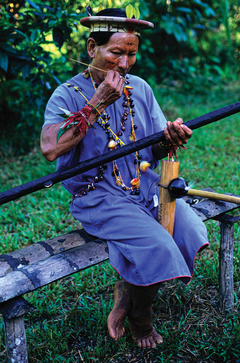 natives use very long blowguns