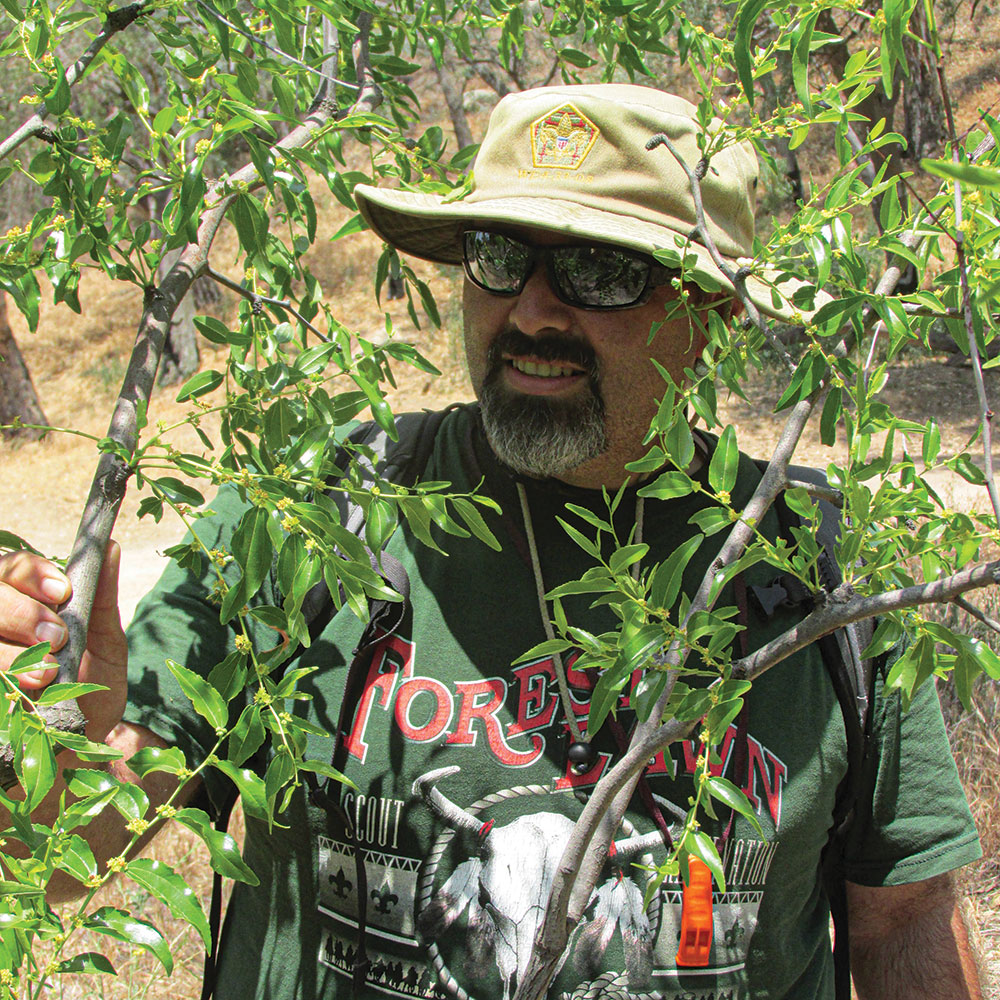 Francisco Loaiza inspects the still-fruiting branches of a jujube tree