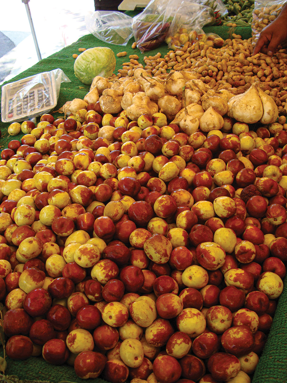 Jujube fruits from a farmers market