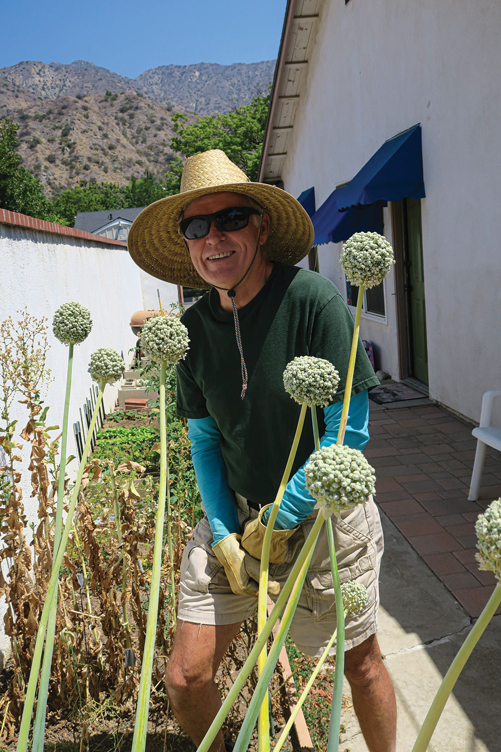 Hyke grows onions and herbs