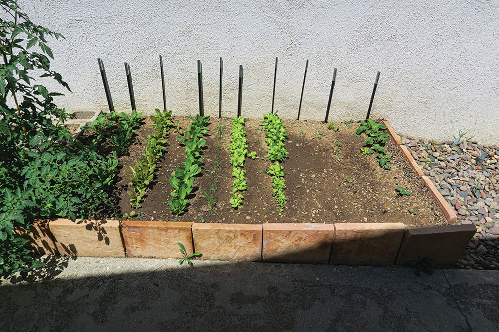 A view of one of the Hyke plots