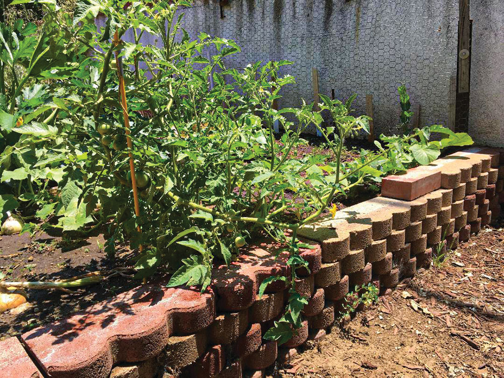 This raised bed is framed in paver stones.