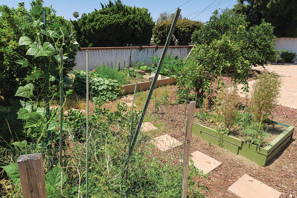 A view of the small, but diverse, Hyke Farms