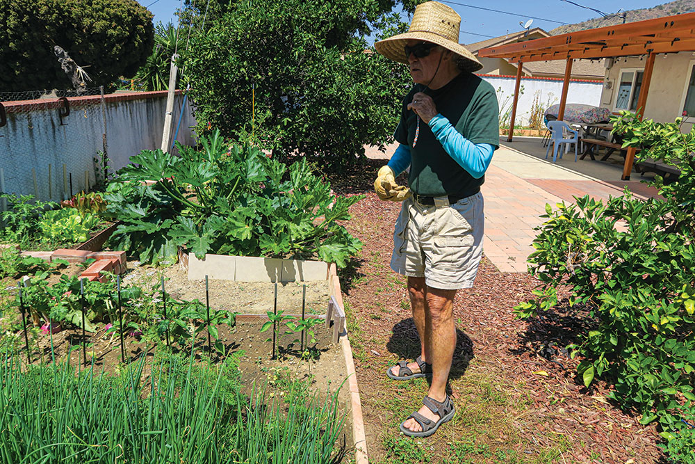 Hyke inspects his garden plots