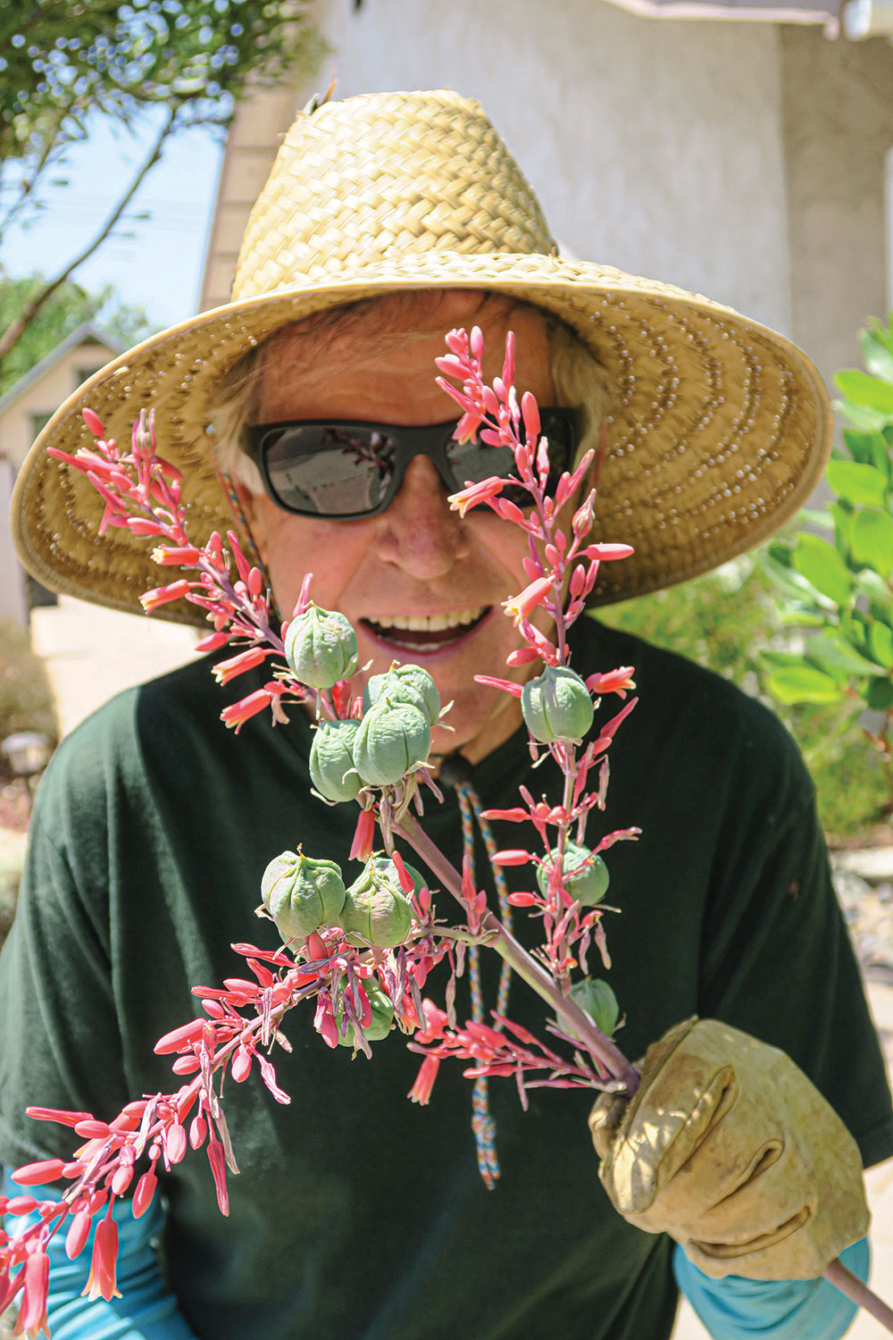 The drought-tolerant red yucca in the Hykes' front yard