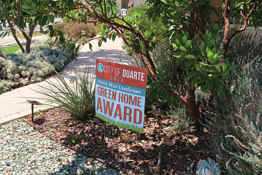 The “public” side of the Hyke household is totally planted with native and drought-tolerant plants.