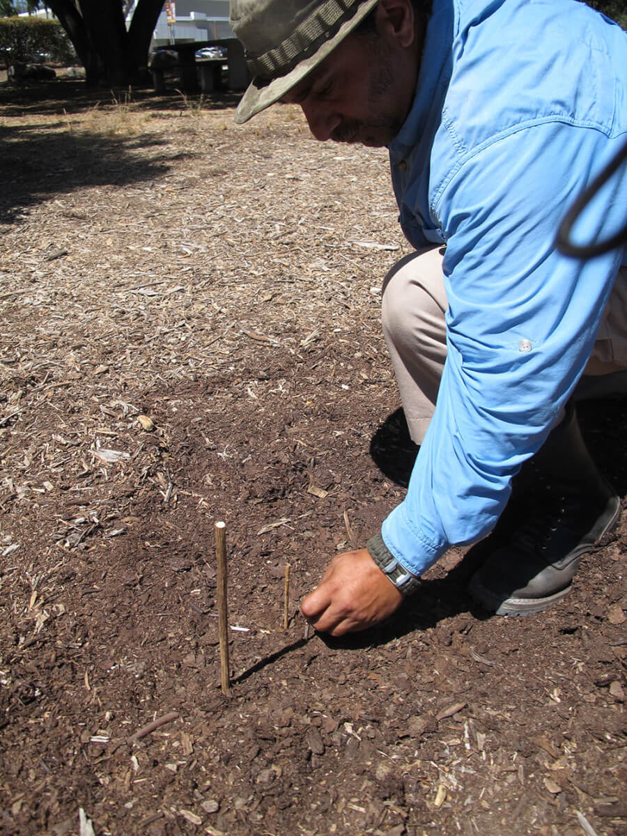 After some time has elapsed, and the shadow has moved, the tip of the shadow is again marked with a peg.