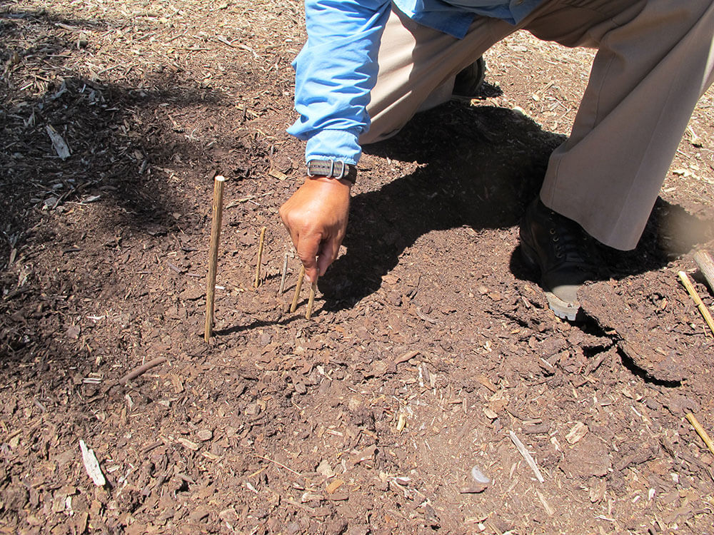 Here, the shadow’s tip is marked with a fourth peg.