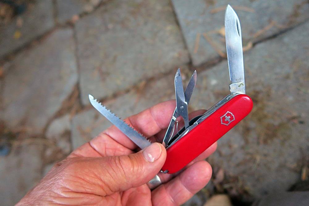 Hunter model of Victorinox 