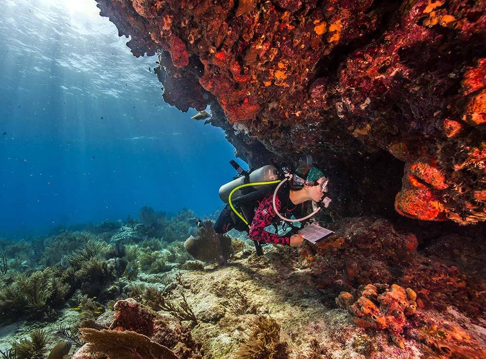 BISCAYNE NATIONAL PARK, FLORIDA