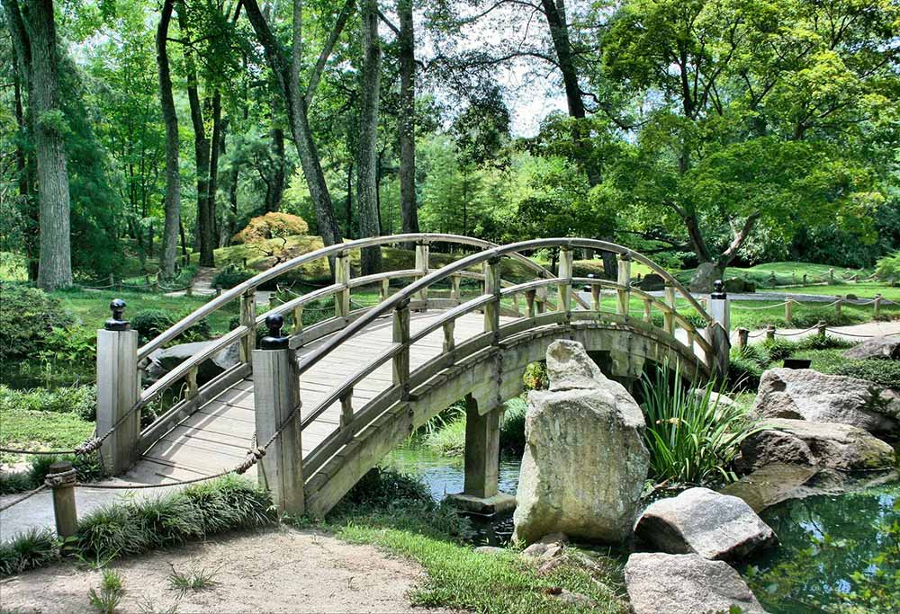 hunting a cache in a park