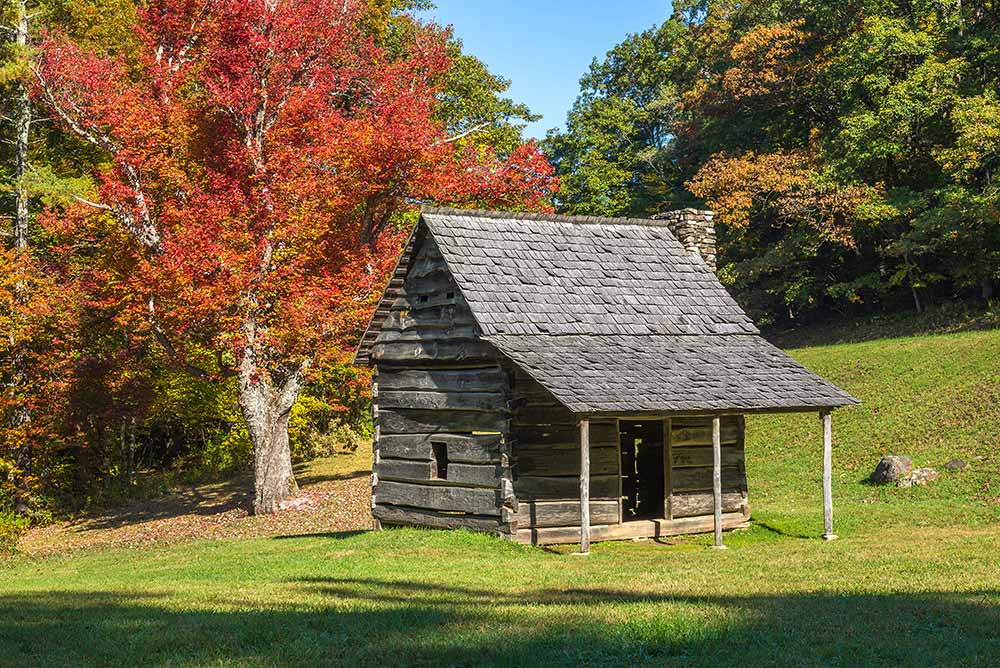 A small house in the woods