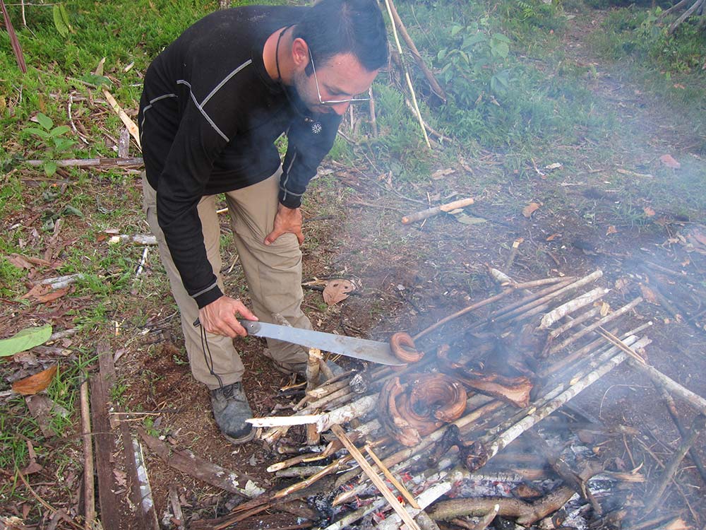 The author used this machete to dispatch a Red-Tailed Boa Constrictor and then as a spatula cooking over a swamp grill.