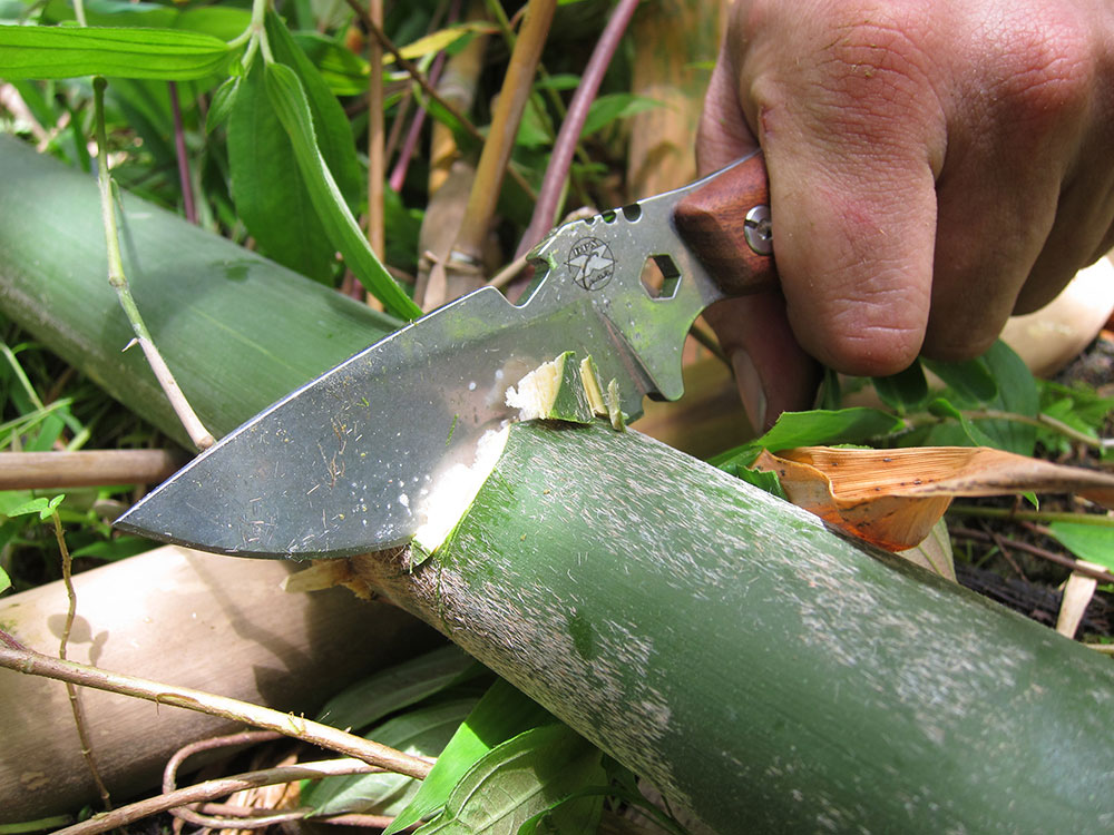  a small DPx fixed blade knife