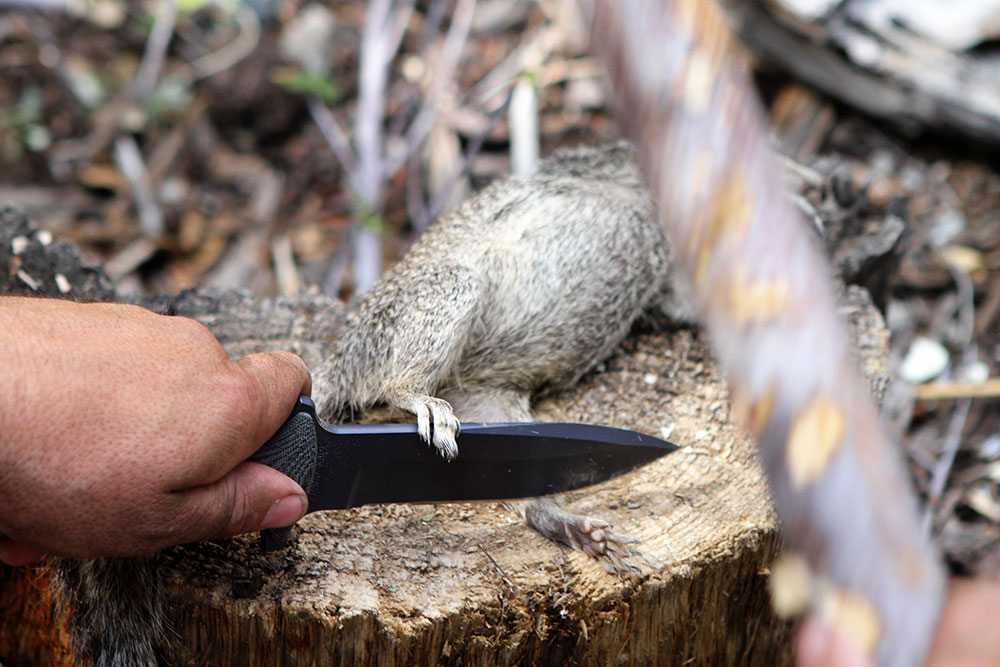 A sharp point is needed to penetrate hides, and the edge must be able to chop or baton through bone.