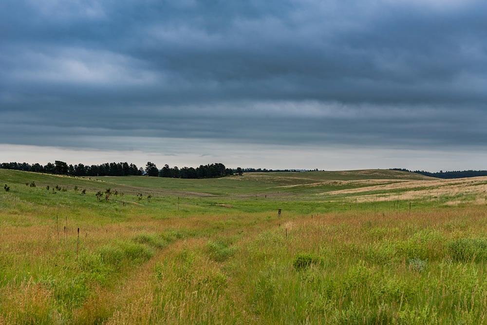 Black Hills of South Dakota