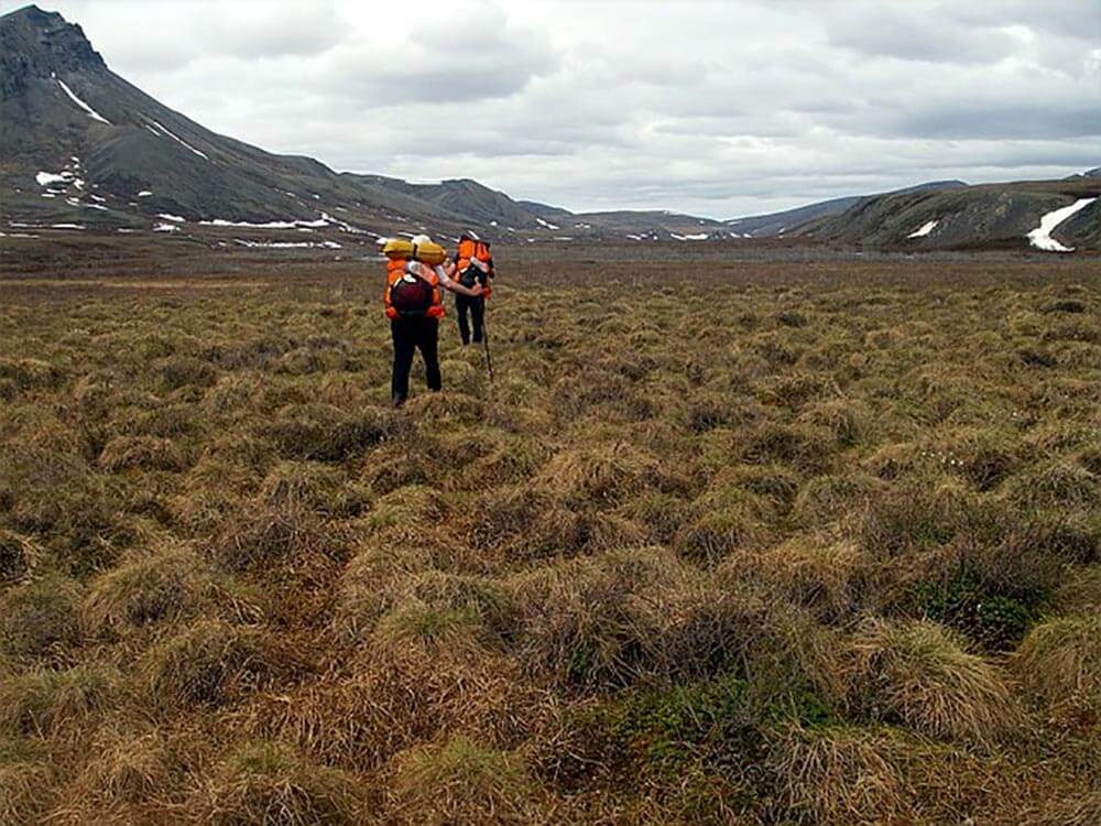 trekking in tundra