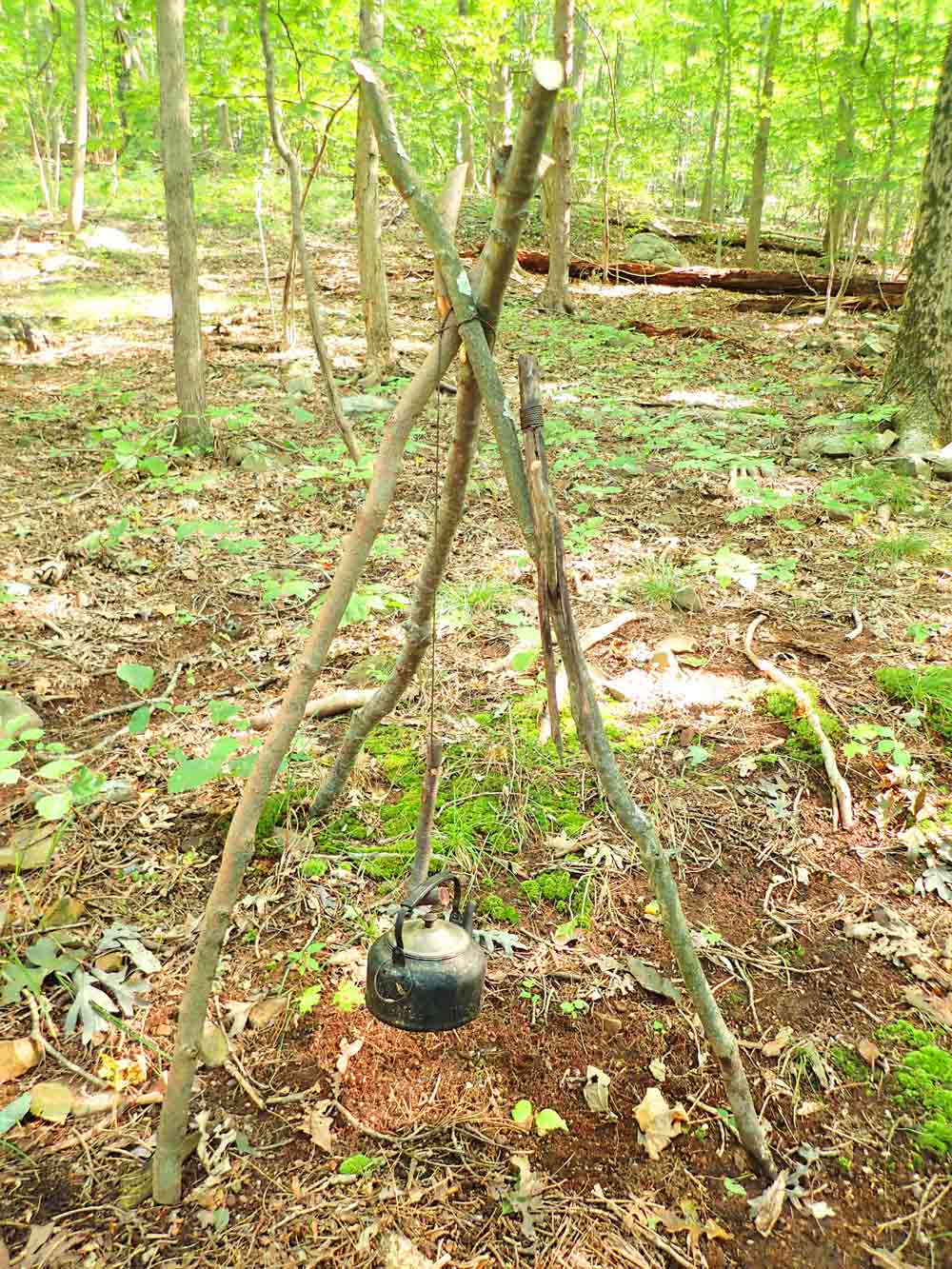 A single lashing was used to make this light-medium duty tripod.