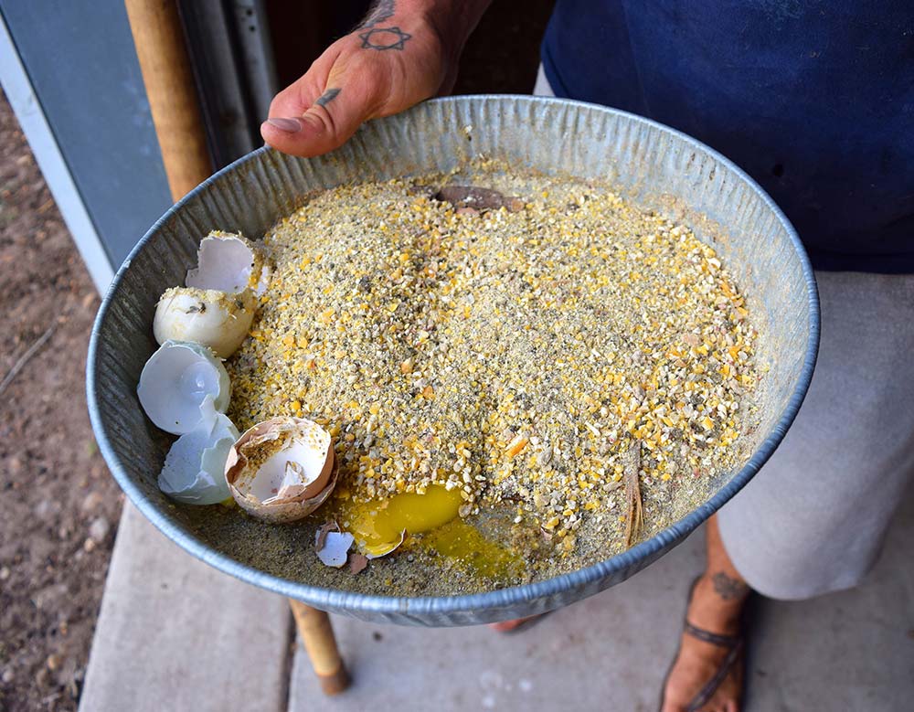 chick starter high-protein crumble