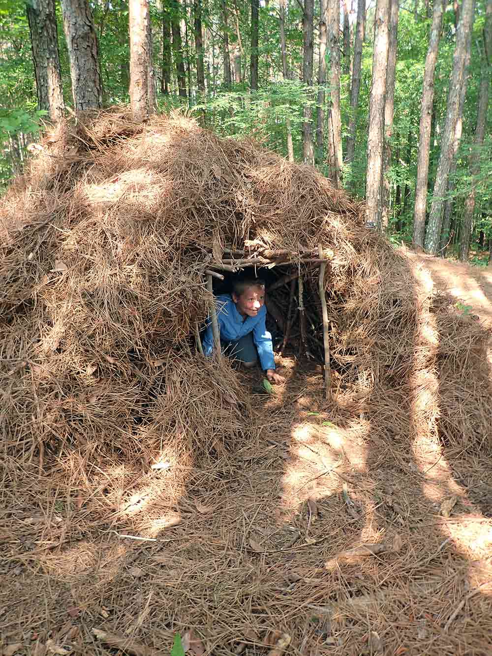 A debris hut 