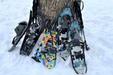 group of snowshoes