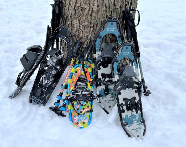 group of snowshoes