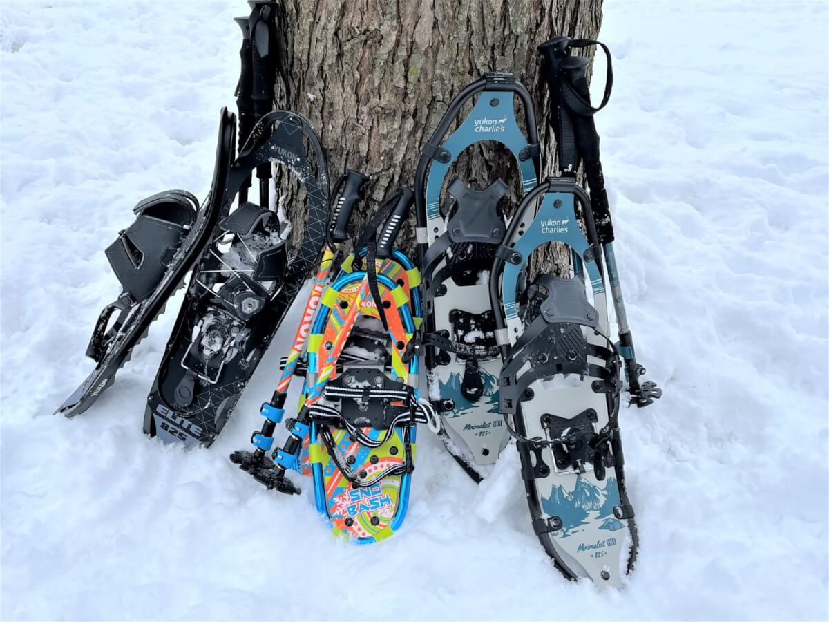 group of snowshoes